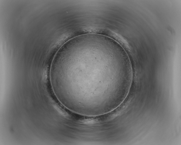 X0000115700065200911121413