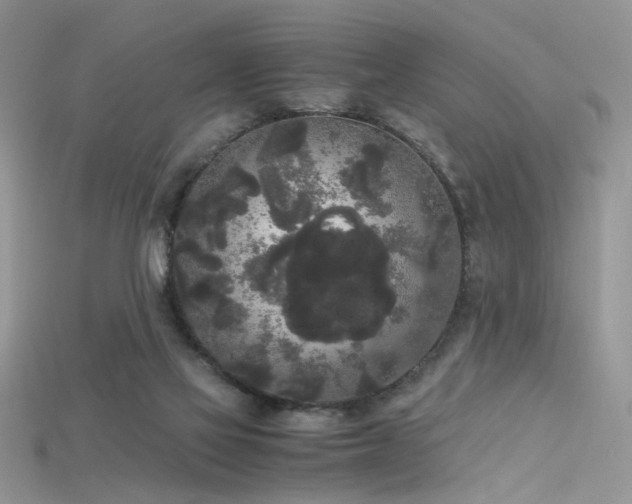 X0000115700069200911121413