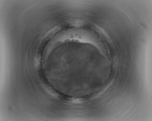 X0000115700073200911121413