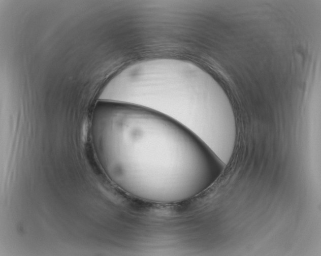 X0000115700076200911121413