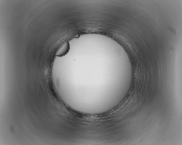 X0000115700079200911121413