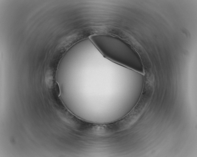 X0000115700080200911121413