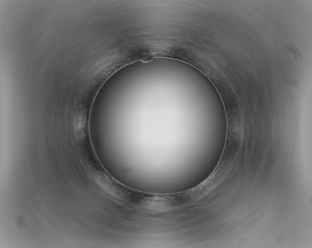 X0000115700082200911121413