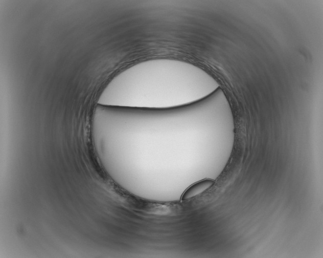 X0000115700083200911121413