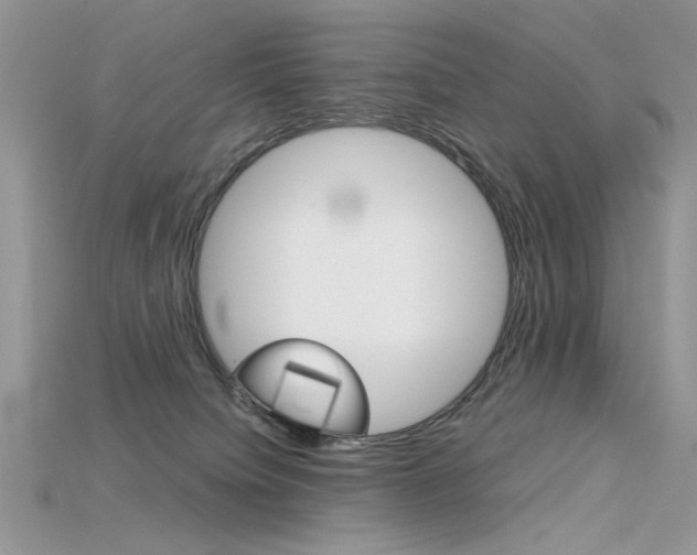 X0000115700084200911121413