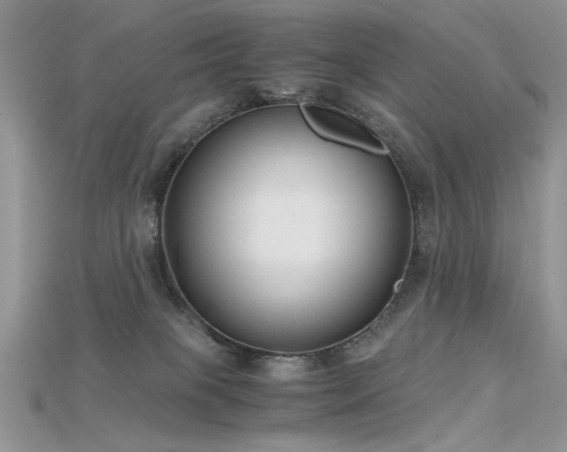 X0000115700085200911121413