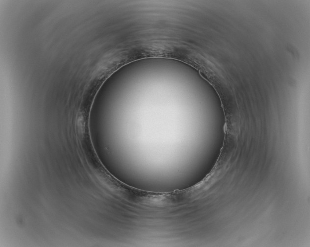 X0000115700086200911121413