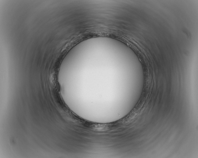 X0000115700088200911121413