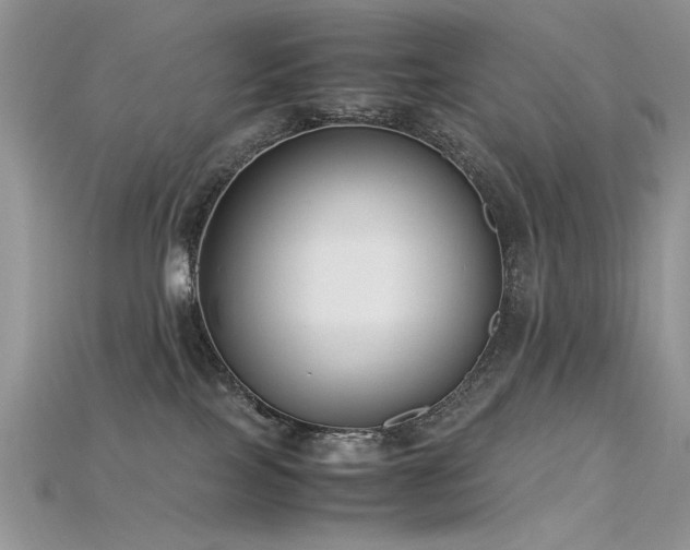 X0000115700089200911121413