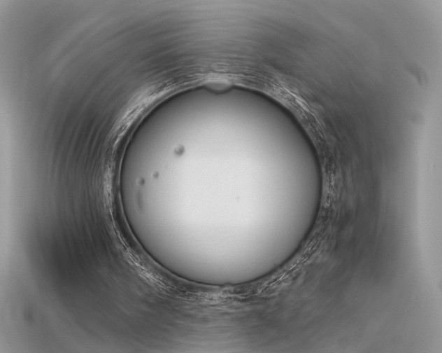 X0000115700098200911121413