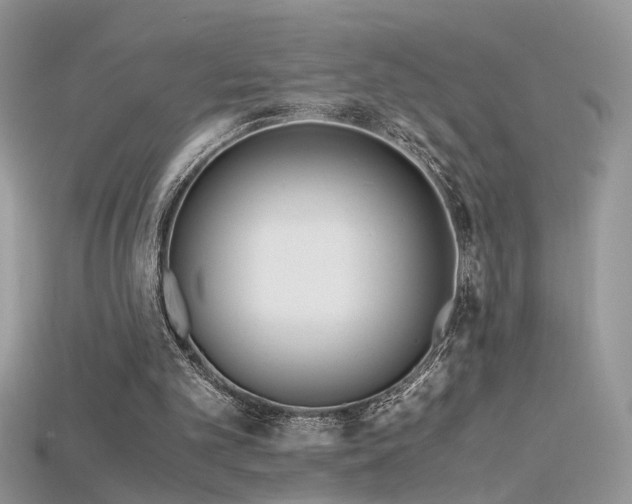 X0000115700101200911121413