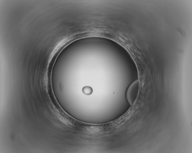 X0000115700102200911121413