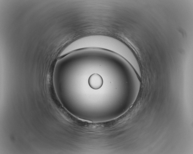 X0000115700117200911121412