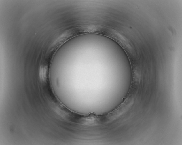 X0000115700118200911121412