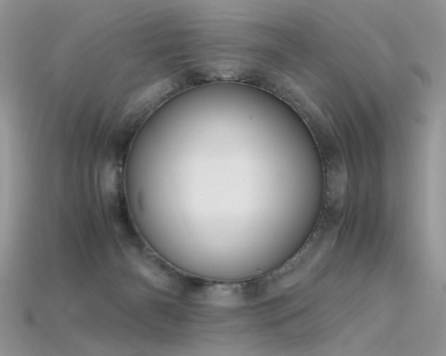 X0000115700126200911121412