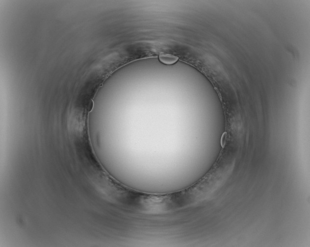 X0000115700129200911121412