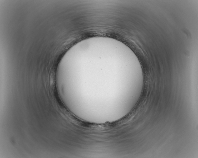 X0000115700131200911121412