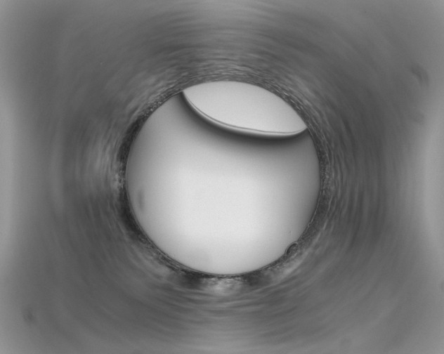 X0000115700135200911121412