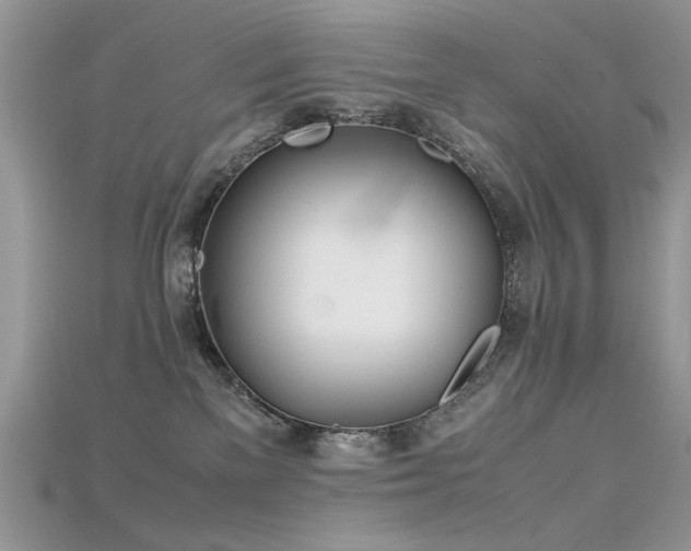 X0000115700137200911121412