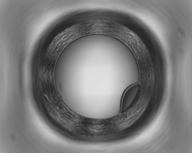 X0000115700142200911121412