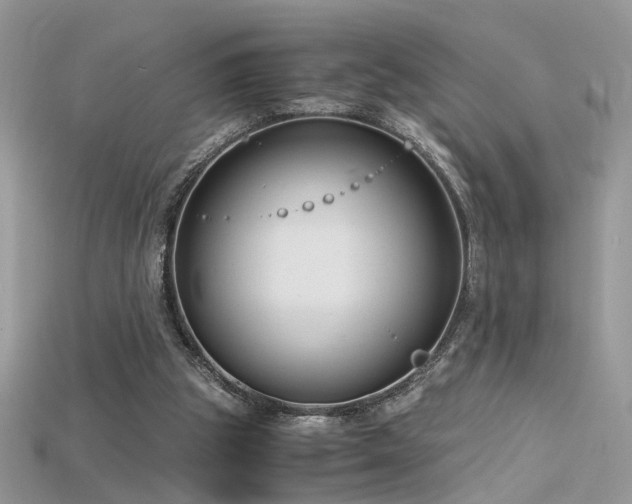 X0000115700153200911121412