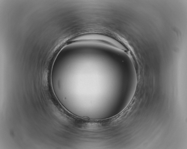 X0000115700154200911121412