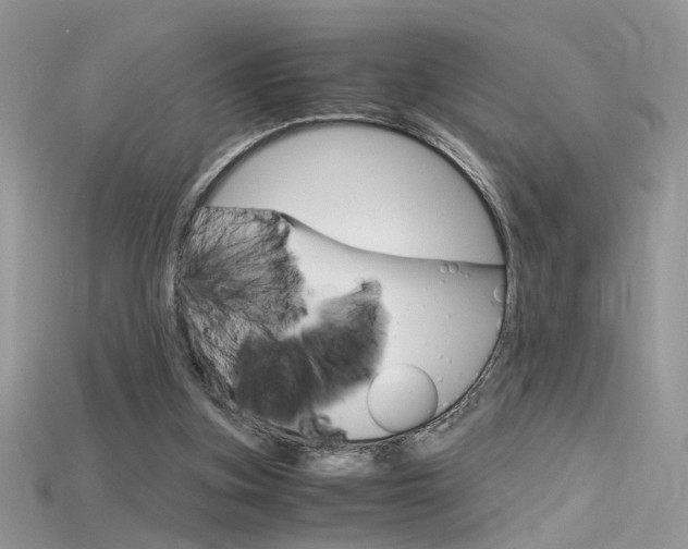 X0000115700155200911121412