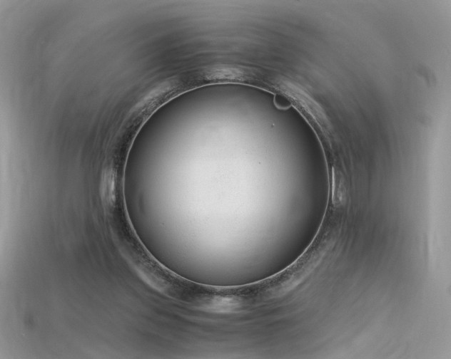 X0000115700157200911121412