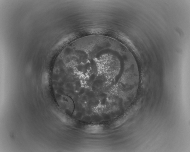 X0000115700161200911121412