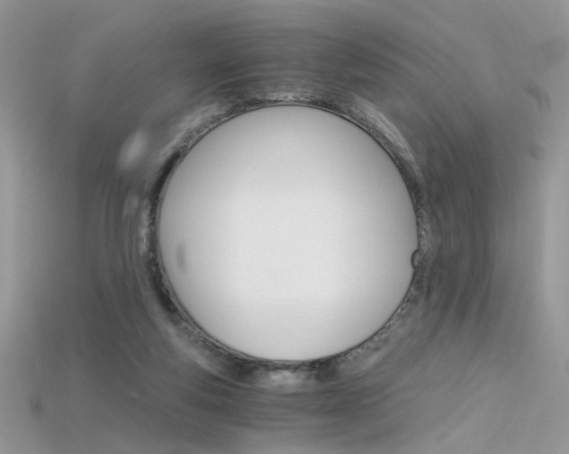 X0000115700163200911121412