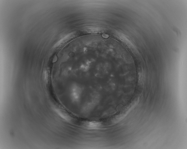 X0000115700165200911121412