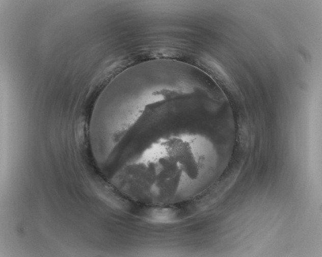 X0000115700169200911121412