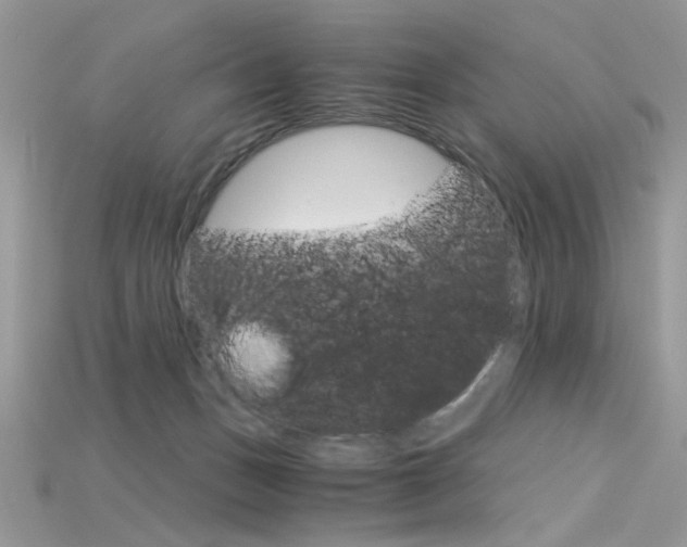 X0000115700175200911121412