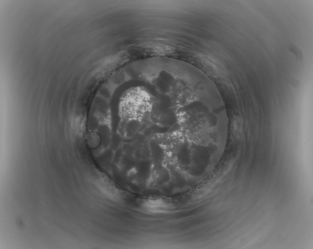 X0000115700177200911121412