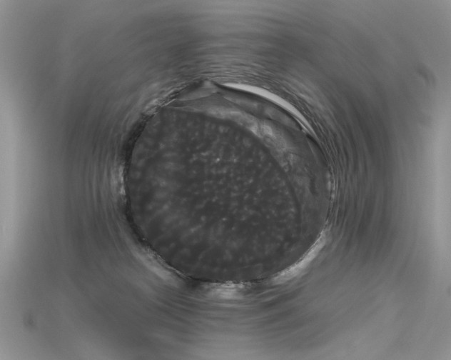 X0000115700182200911121412