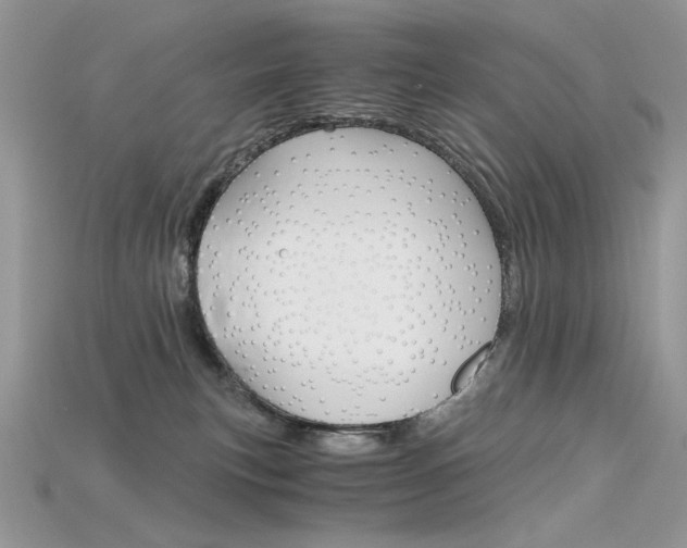 X0000115700183200911121412