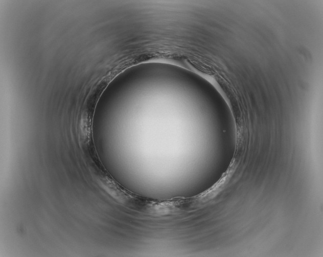 X0000115700186200911121412