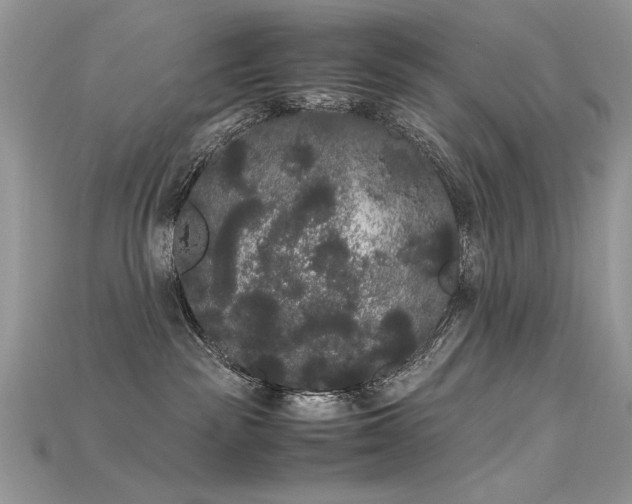 X0000115700189200911121412