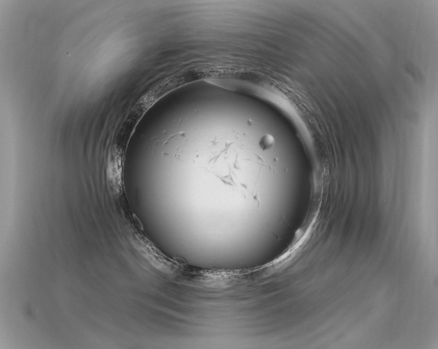 X0000115700190200911121412