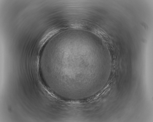 X0000115700194200911121411