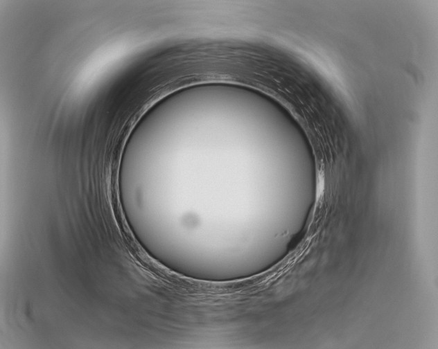 X0000115700195200911121411