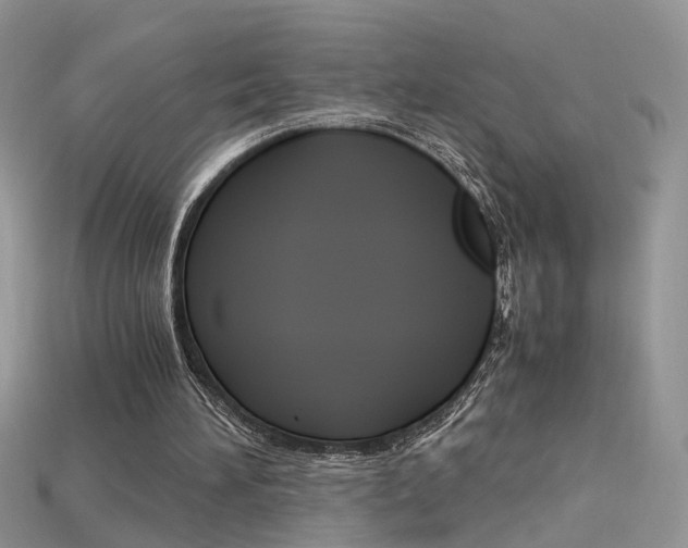 X0000115700196200911121411