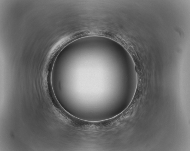 X0000115700197200911121411