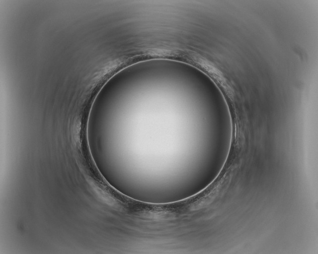 X0000115700201200911121411