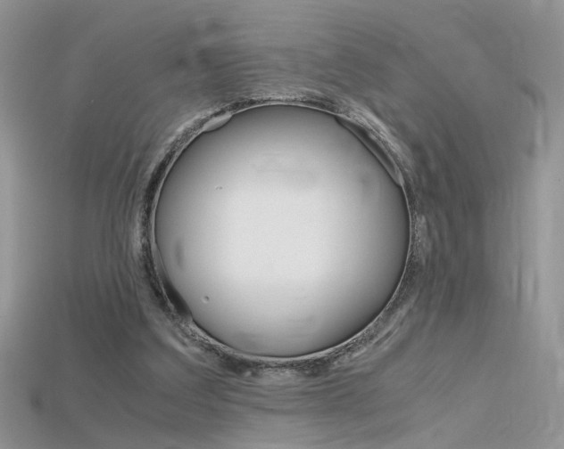 X0000115700203200911121411