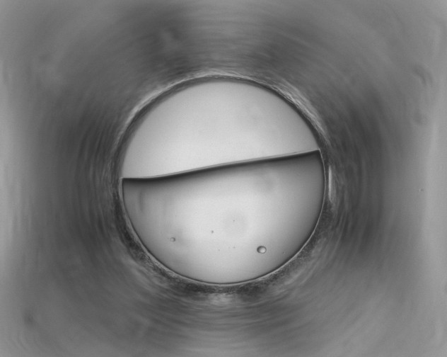 X0000115700204200911121411