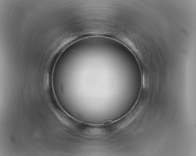 X0000115700205200911121411