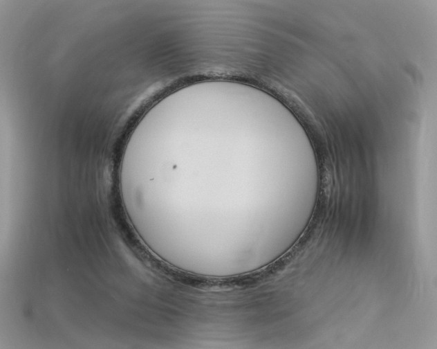 X0000115700208200911121411