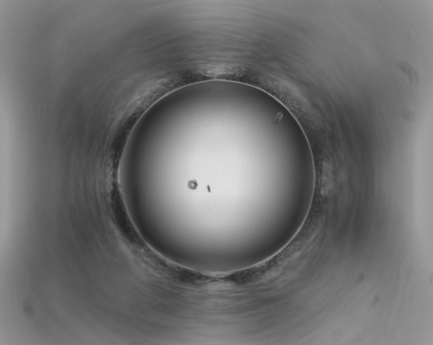 X0000115700210200911121411