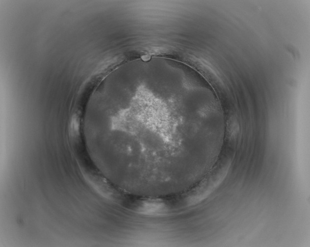 X0000115700214200911121411